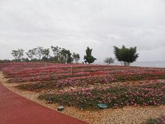 -抚仙湖禄充风景区