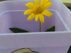 -木兰围场