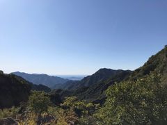 -大岭沟猕猴桃谷风景区