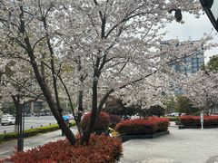 -星巴克臻选(苏州汇豪店)