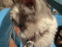 CIMG0056-Sirena海妖日咖夜酒