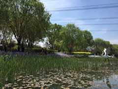 -昆山城市生态森林公园