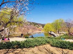 -北京西山国家森林公园