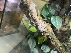 -中国湿地博物馆