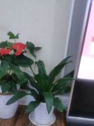 -美莱医疗美容医院