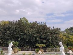 -罗浮山嘉宝田森林温泉度假酒店