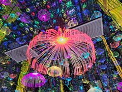 -深圳独角兽星空艺术馆