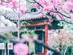 -碑林公园