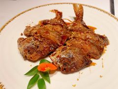 -食廬(浦东嘉里城店)