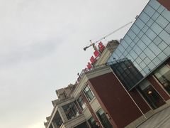 -小李子油焖大虾(天下城旗舰店)