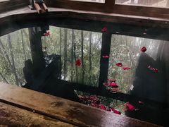 -洪湖悦兮半岛国际温泉度假村