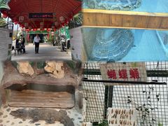 -上海大自然野生昆虫馆(东方明珠·爬宠昆虫探索中心)