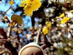 -月坛公园