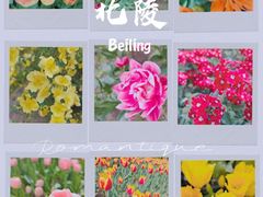 -北陵公园