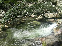 -青峰峡国家森林公园