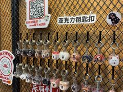 -和它·交个朋友·狗咖猫咖(爱琴海店)