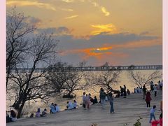 -宝安西湾红树林湿地公园