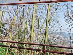 -伴山茶苑·围炉煮茶