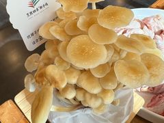 -烹然四季椰子鸡火锅(团结湖总店)