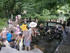 -成都市活水公园