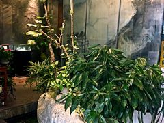 -山水雅居·江南雅宴(运河公园店)