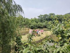 -无锡动物园·太湖欢乐园