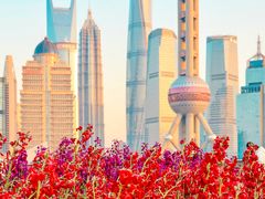 -北外滩滨江绿地