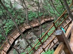 -大岭沟猕猴桃谷风景区