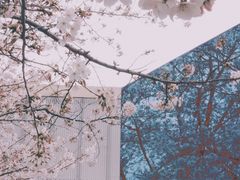 -龙美术馆(西岸馆)