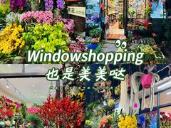 -溪岸路花鸟市场