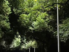 -艾溪湖湿地公园