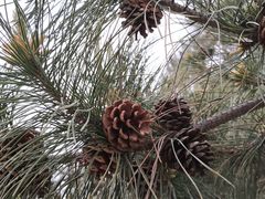 -北京宽沟会议中心