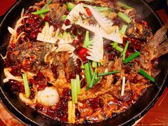 老板恋上鱼-老板恋上鱼(高新万达店)