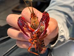 -海汕记·潮汕鲜牛肉火锅·自助