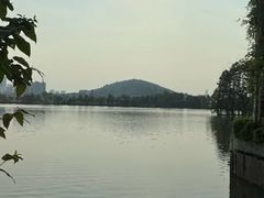 -东湖食堂·湖景餐厅•会议