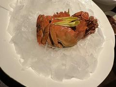 -甄御•海鲜新青岛菜(麦岛店)