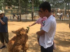 -大连森林动物园