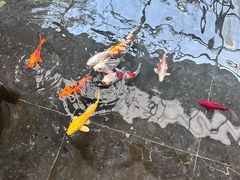 -天津海河悦榕庄·Lobby Lounge大堂吧