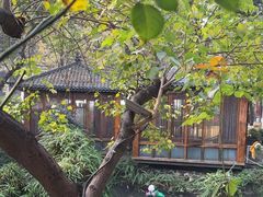 -大妙火锅·非物质文化遗产(东湖公园店)