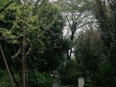 -莲湖公园