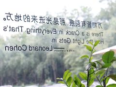 -隹木咖啡馆(宝龙广场店)