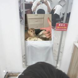 -原素造型