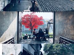 -乌镇西栅景区