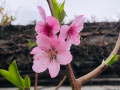-王阳明故居