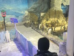 -成都浩海立方海洋公园