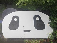 -都江堰中华大熊猫苑
