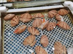 -映像威海·海鲜味道(市区店)