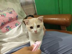 -藏猫猫咖啡主题馆(中央大道店)