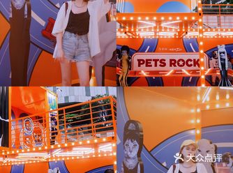 深圳首展｜🟧打卡Petsrock宠物摇滚‍