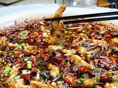 -西木兔(大圆祥店)